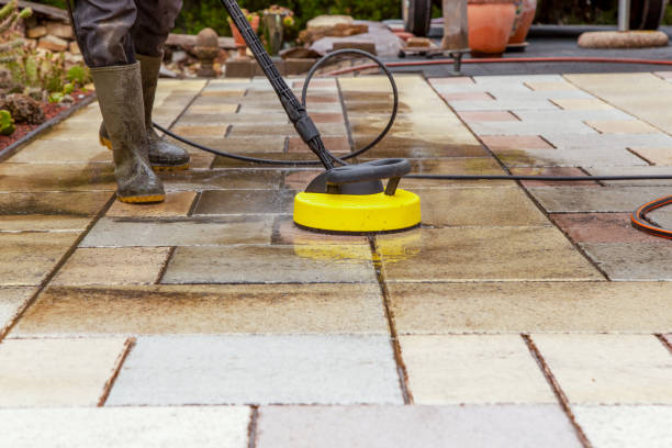 Best Sidewalk and Walkway Cleaning  in Marlinton, WV
