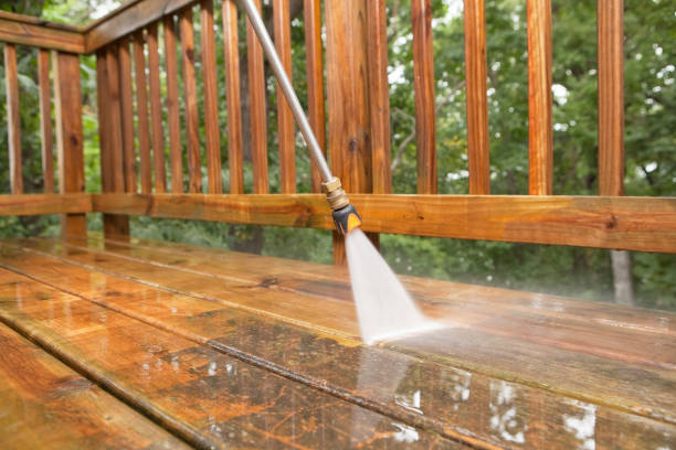 Best Soft Washing  in Marlinton, WV
